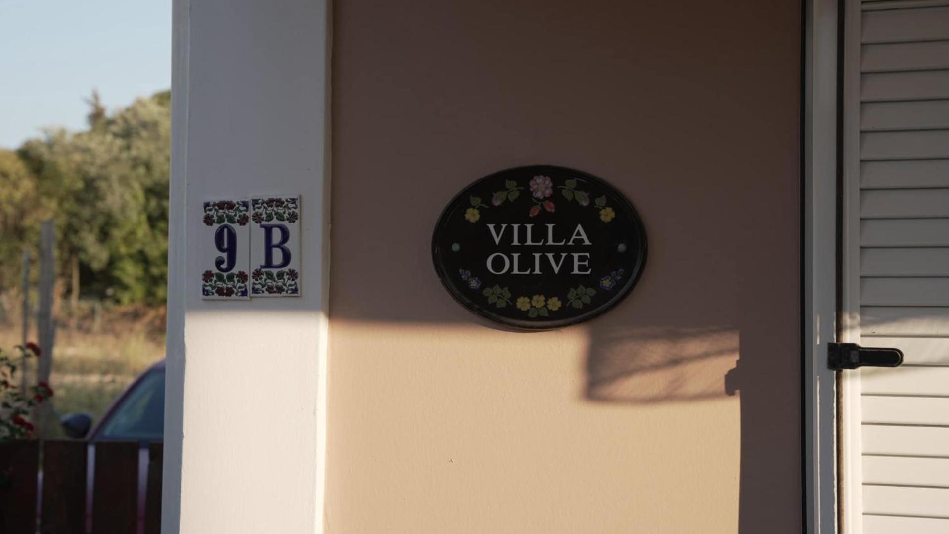 The Olive Grove Villa Plános Buitenkant foto